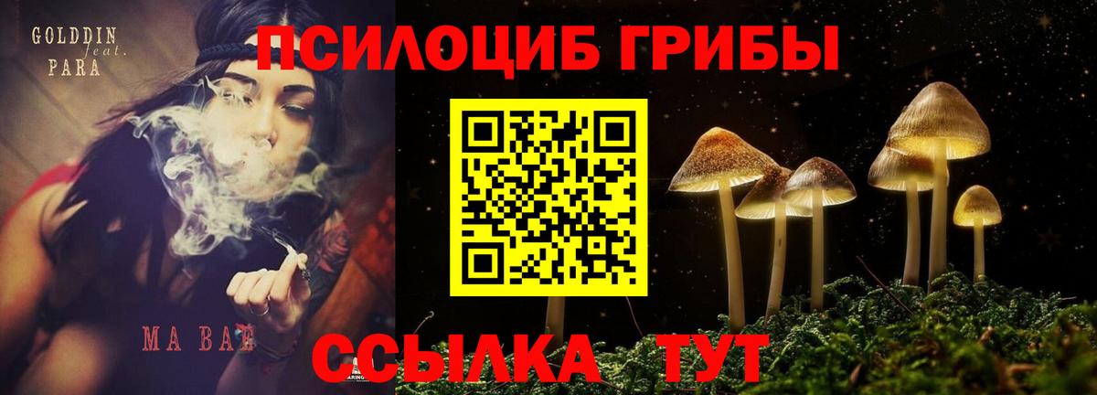 Псилоцибиновые грибы мухоморы Лосино-Петровский